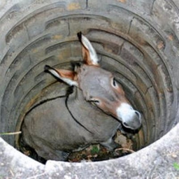 Discovering Dubai's Top Food Influencers for 2026